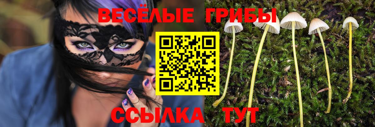 Псилоцибиновые грибы Psilocybe Туймазы